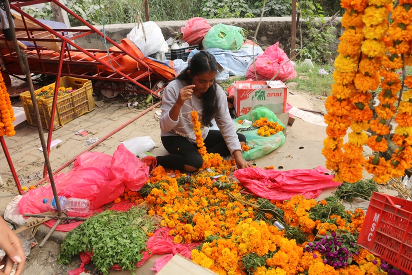 पोखरामा कात्तिक ४ गते देखि पुष्प मेला